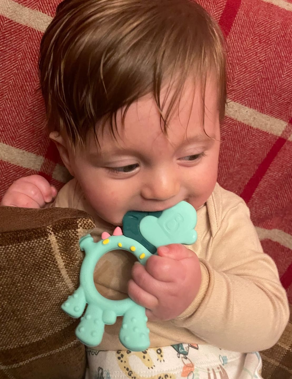 Customer photo review of Teething Toy: Dotty the Dinosaur™