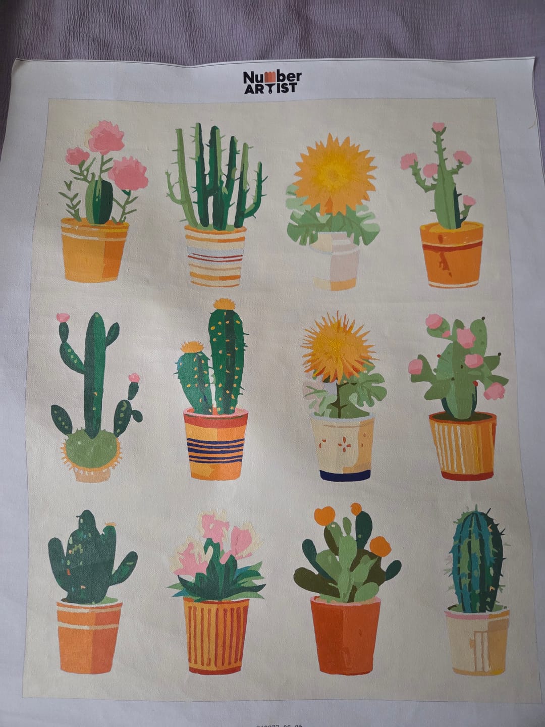 Customer photo review of Cacti Collection