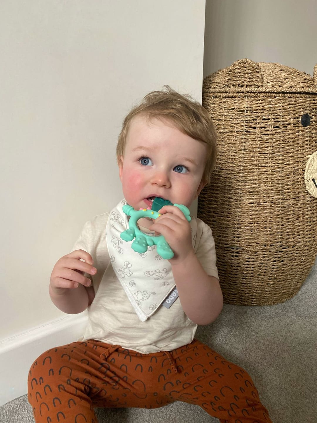 Customer photo review of Teething Toy: Dotty the Dinosaur™