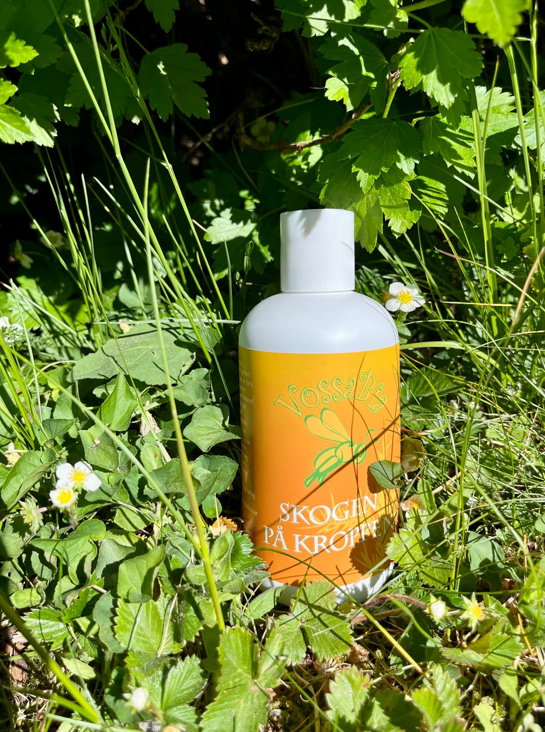 Kundenfoto-Rezension von Body Soap Forest