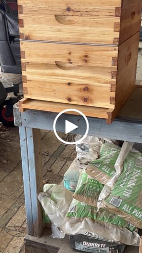 Customer video review of (No Frame No Foundation)MayBee Hives Beekeeping Accessories Kit Hive Beeswax Coated 10 Frame Langstroth Beehive Include 1 Bee Deep Body And 1 Bee Super Hive Body (Metal Queen Excluder,Solid Bottom Board)
