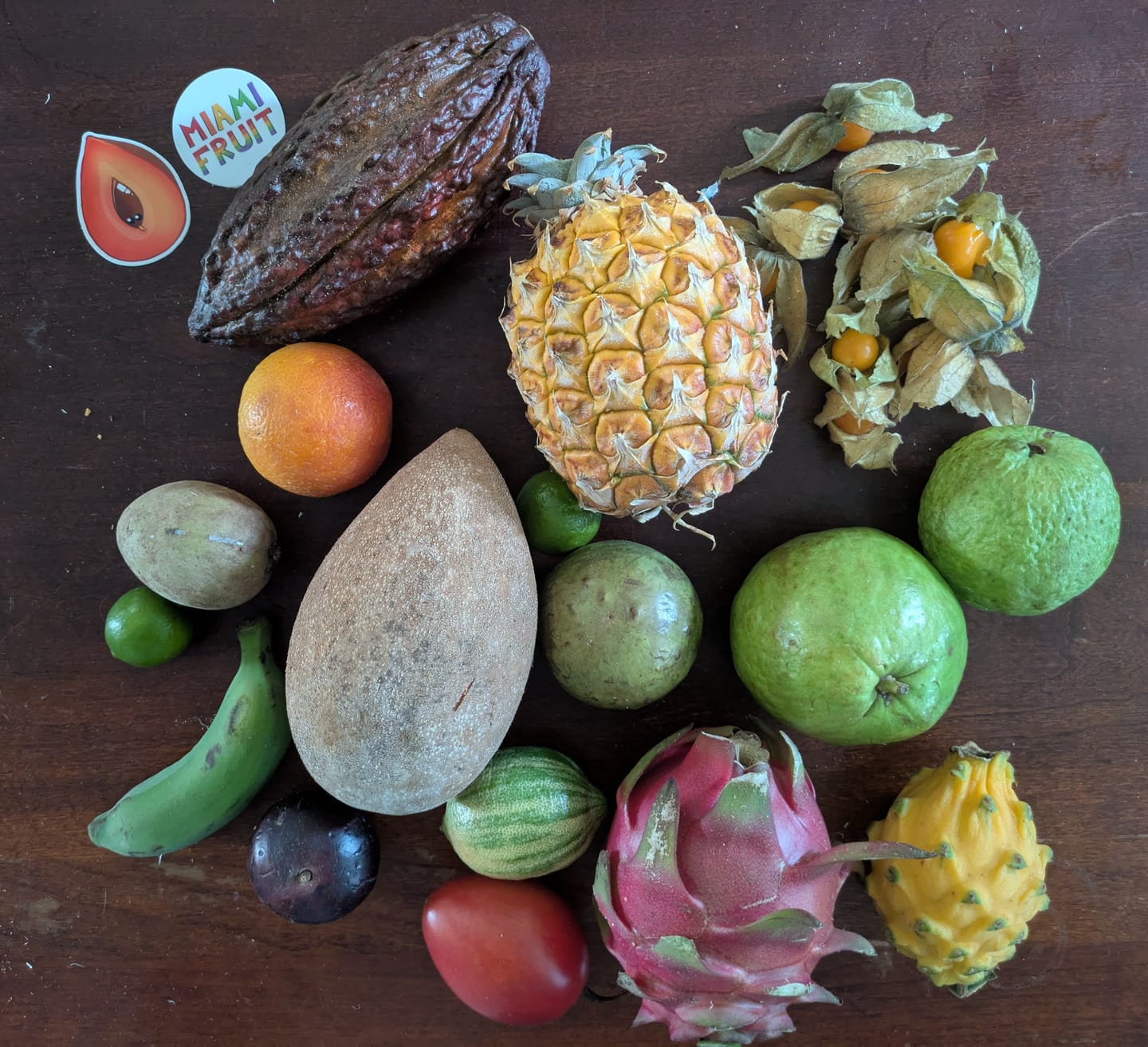 Customer photo review of Variety Box