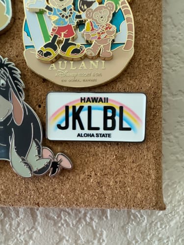 Customer photo review of Hawaii License Plate Enamel Pin