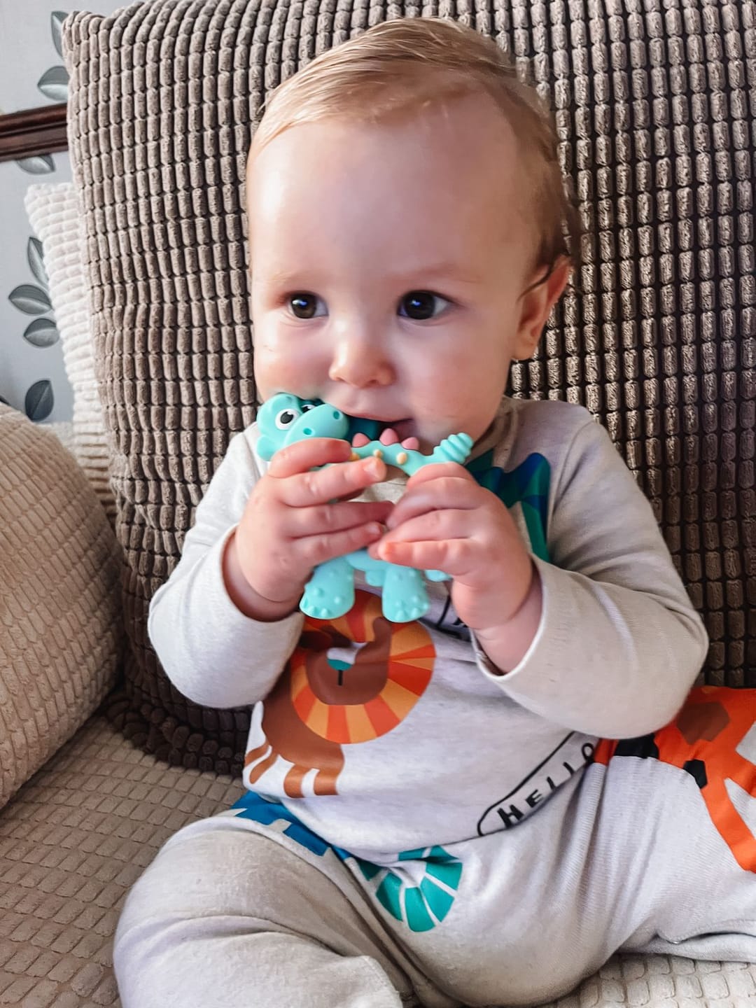 Customer photo review of Teething Toy: Dotty the Dinosaur™