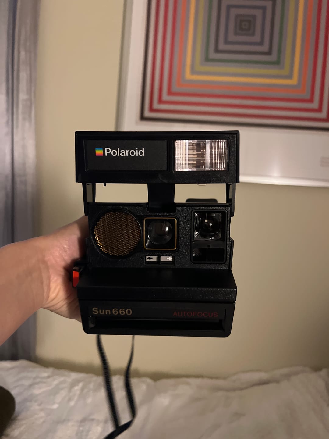 Customer photo review of Polaroid 600 Sun660 Autofocus Instant Film Camera