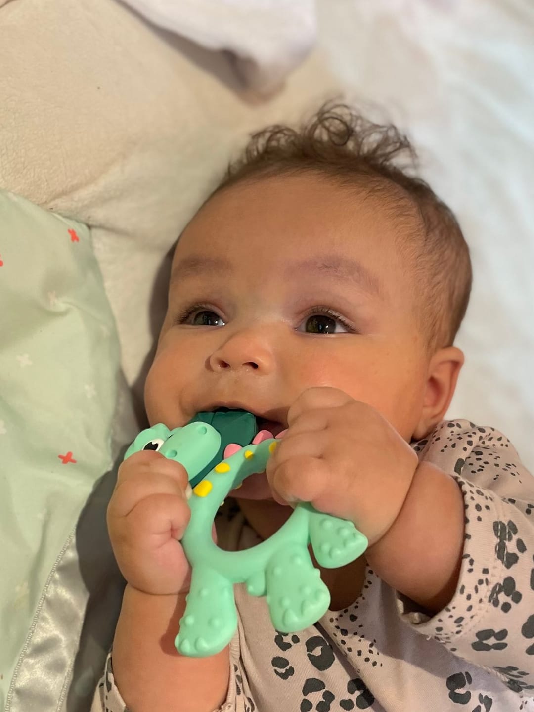Customer photo review of Teething Toy: Dotty the Dinosaur™