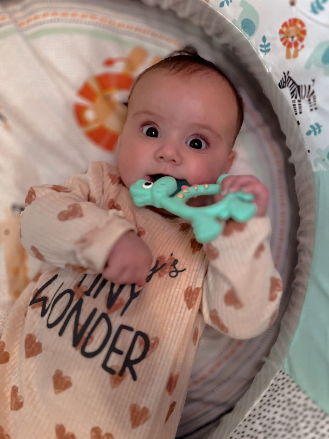 Customer photo review of Teething Toy: Dotty the Dinosaur™