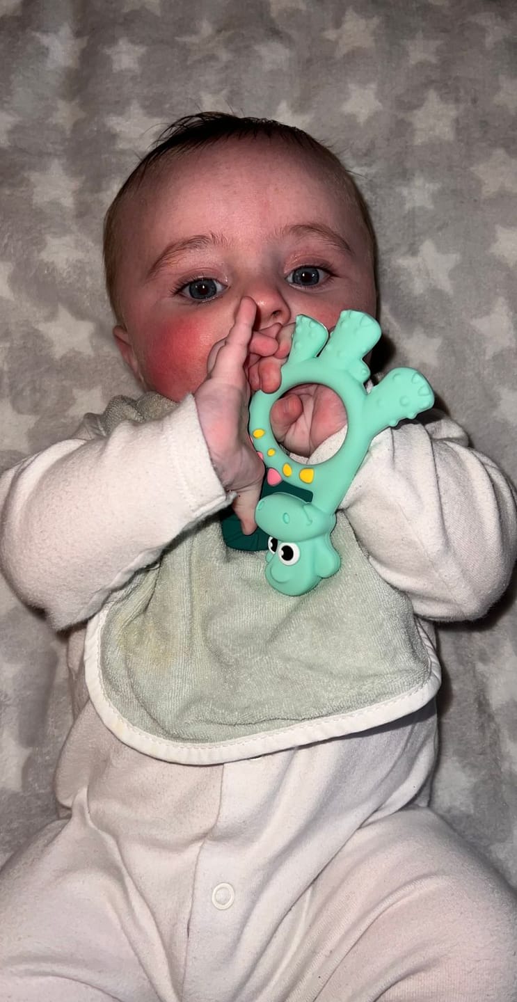 Customer photo review of Teething Toy: Dotty the Dinosaur™