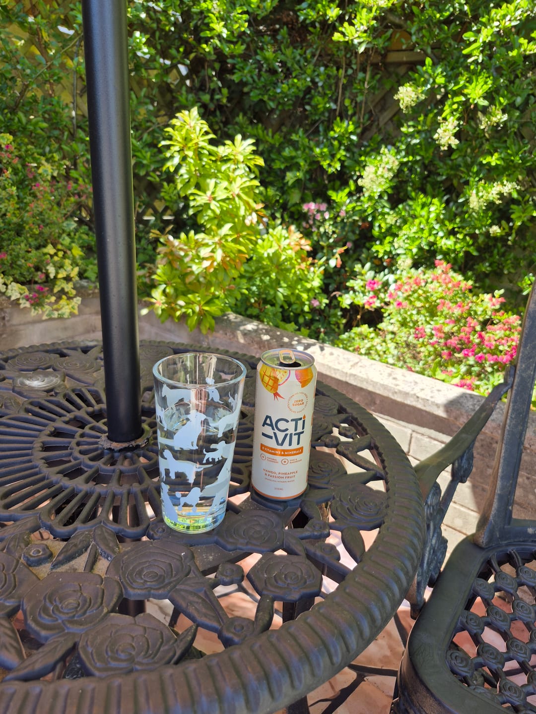 Customer photo review of Acti-Vit Mango, Pineapple & Passion Fruit