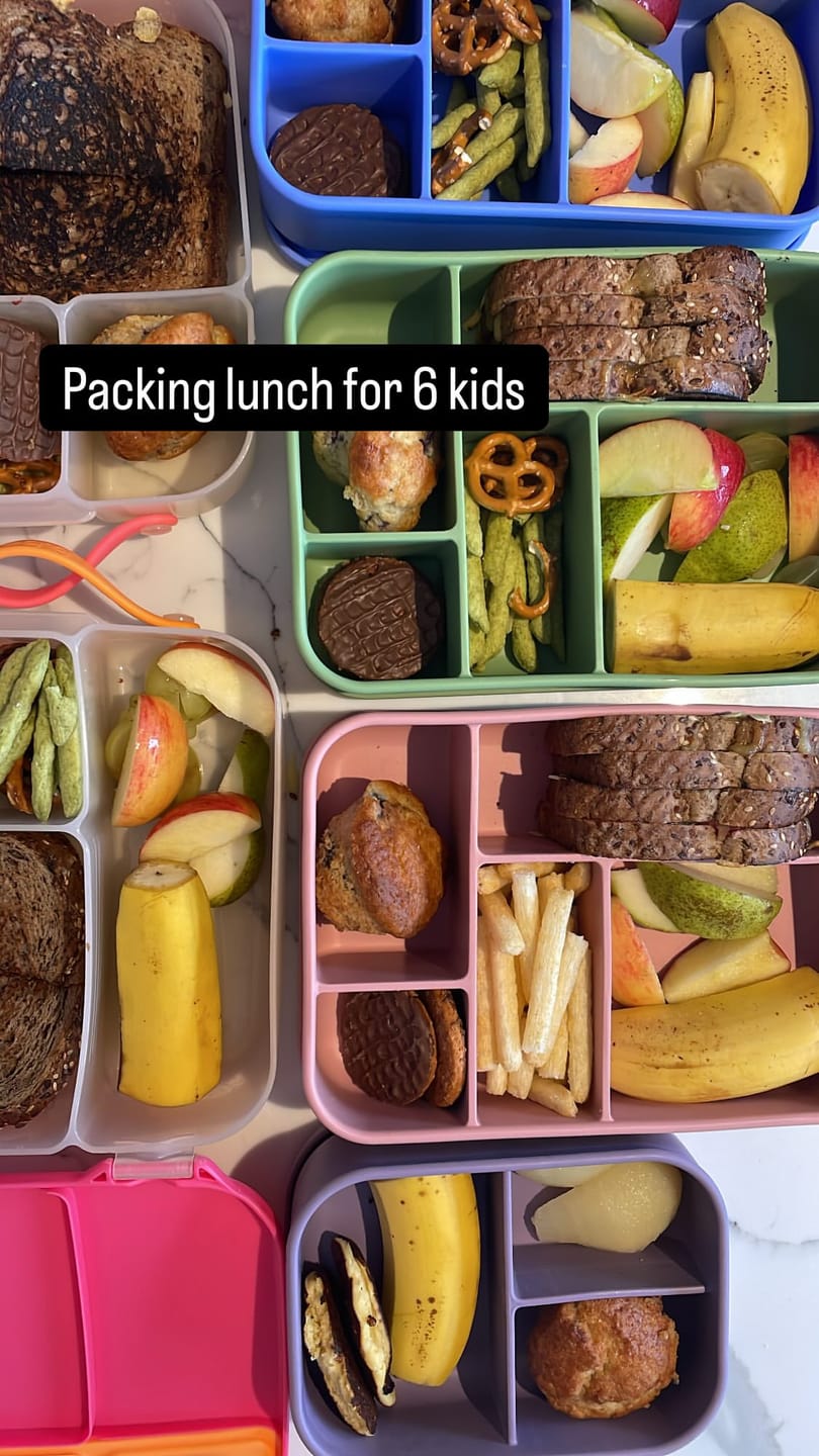 Customer photo review of Luxe Lunchbox