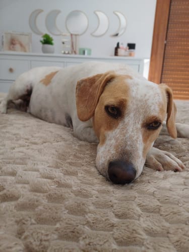 Customer photo review of Light