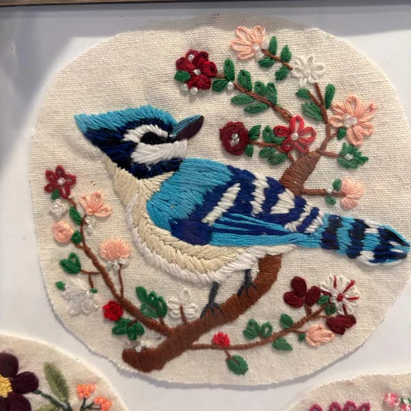 Customer photo review of Rubbyoo Embroidery Kit - Winter Bluejay
