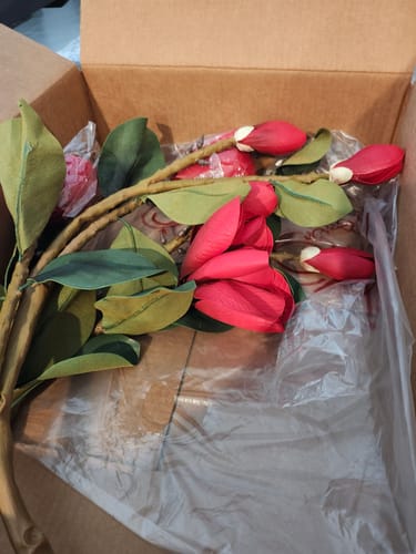 Customer photo review of Bulk 39" Extra Tall Magnolia Stems Real Touch Artificial Spring Flowers Wholesale