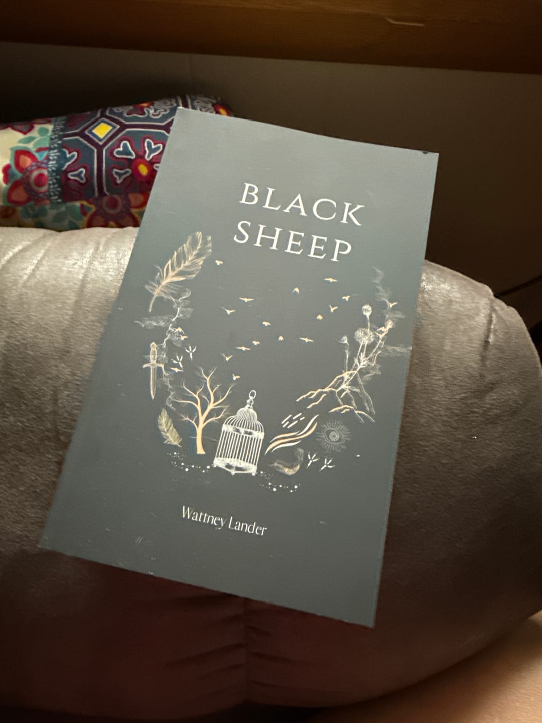 Customer photo review of Black Sheep