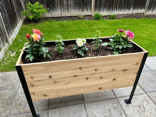Customer photo review of 18" x 48" Raised Garden Bed - 30" TALL