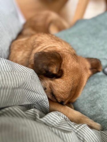 Customer photo review of Relax Time