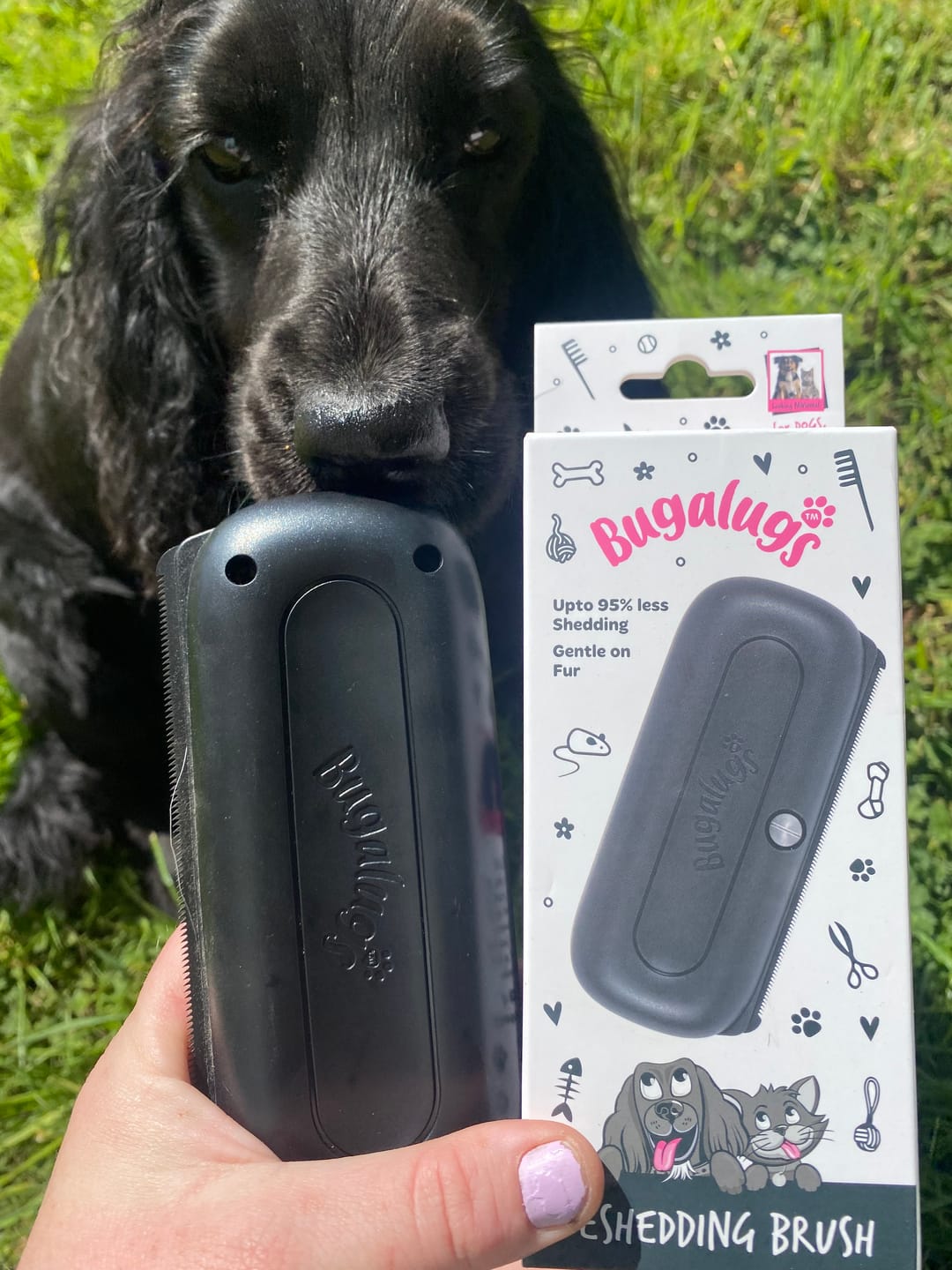 Customer photo review of Deshedding Brush (Black)