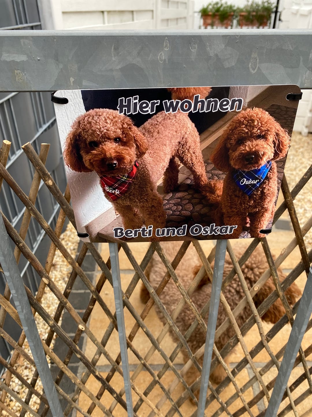 Customer photo review of Hunde-Türschild personalisiert mit Foto & Text (UV- und wetterfest)