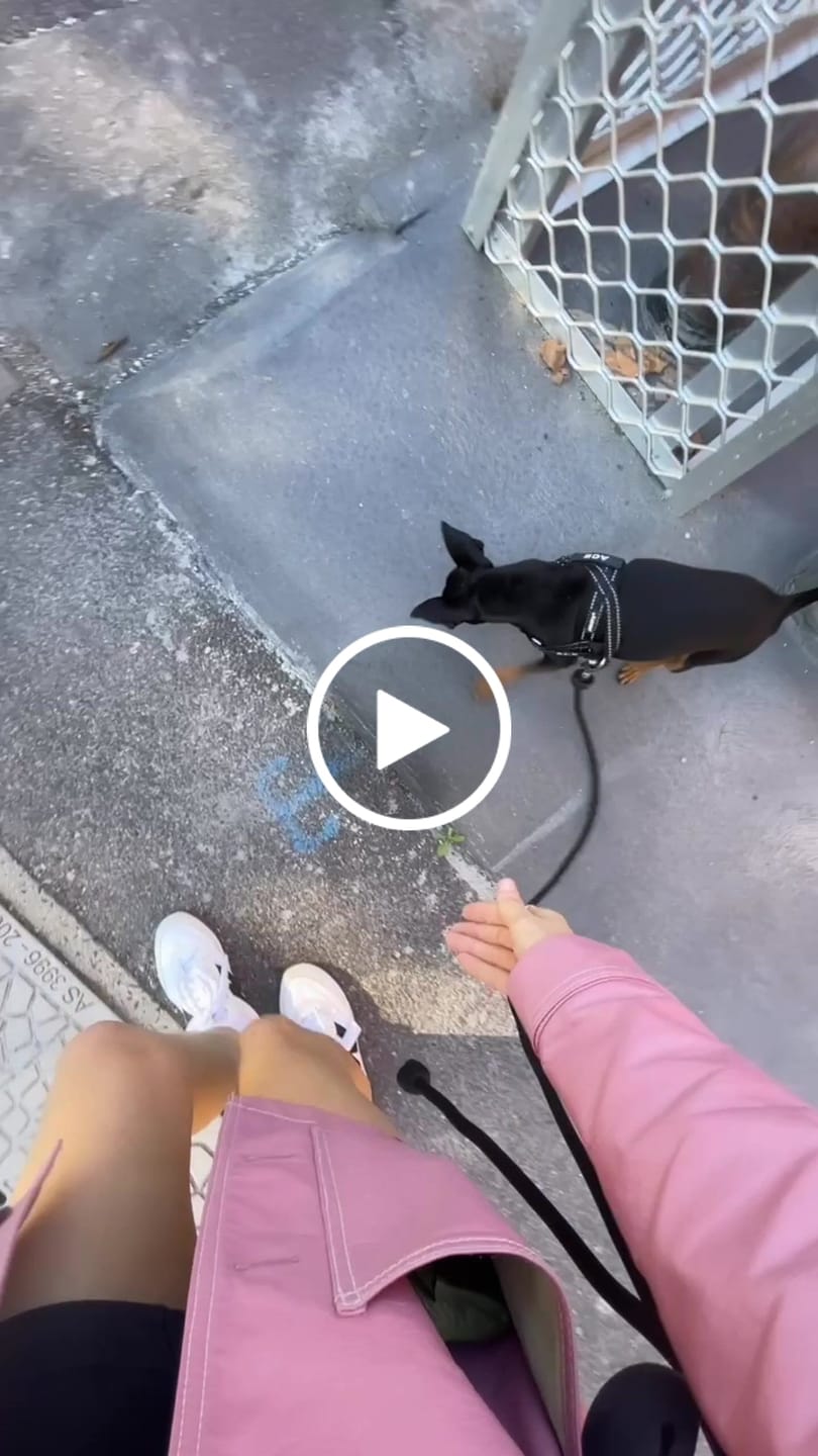 Customer video review of HANDS FREE LEAD - Black
