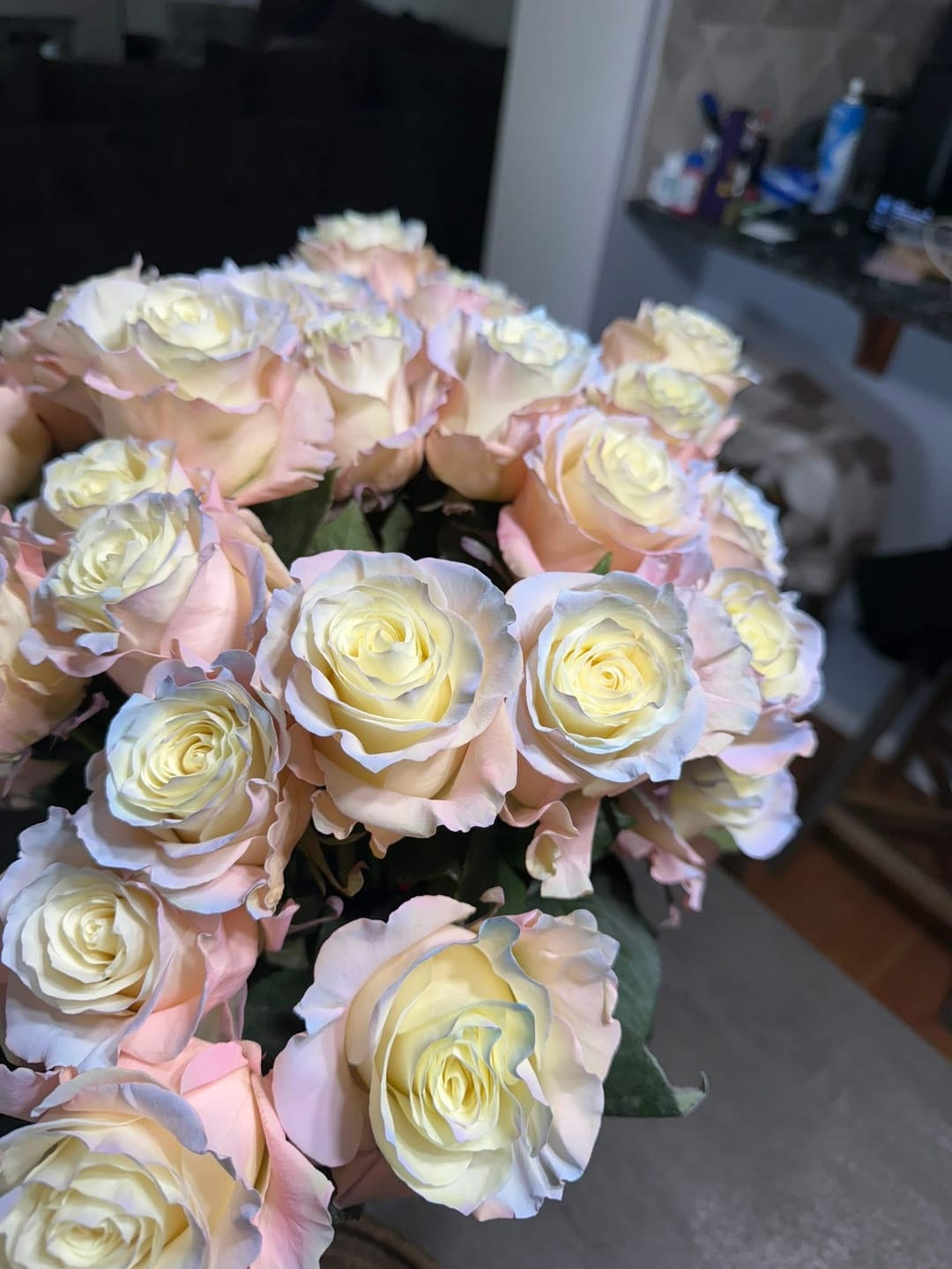 Customer photo review of Aurora Borealis