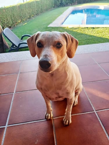 Customer photo review of Light