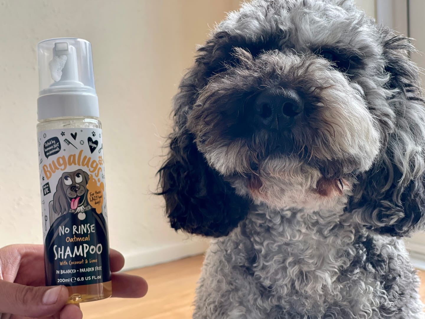 Customer photo review of No Rinse Oatmeal Dog Shampoo with Coconut & Lime