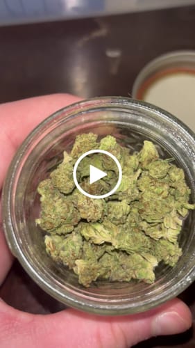 Customer video review of Shipping Protection by Route