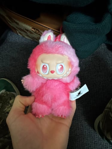 Customer photo review of Pop Mart Labubu The Monsters Big into Energy Series Vinyl Plush Pendant Single Blind Box