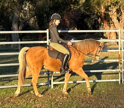 Customer photo review of NEW Ladies & Teen Clara Olive Green Base Layer