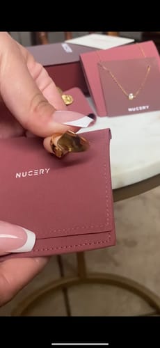 Customer photo review of PURICE