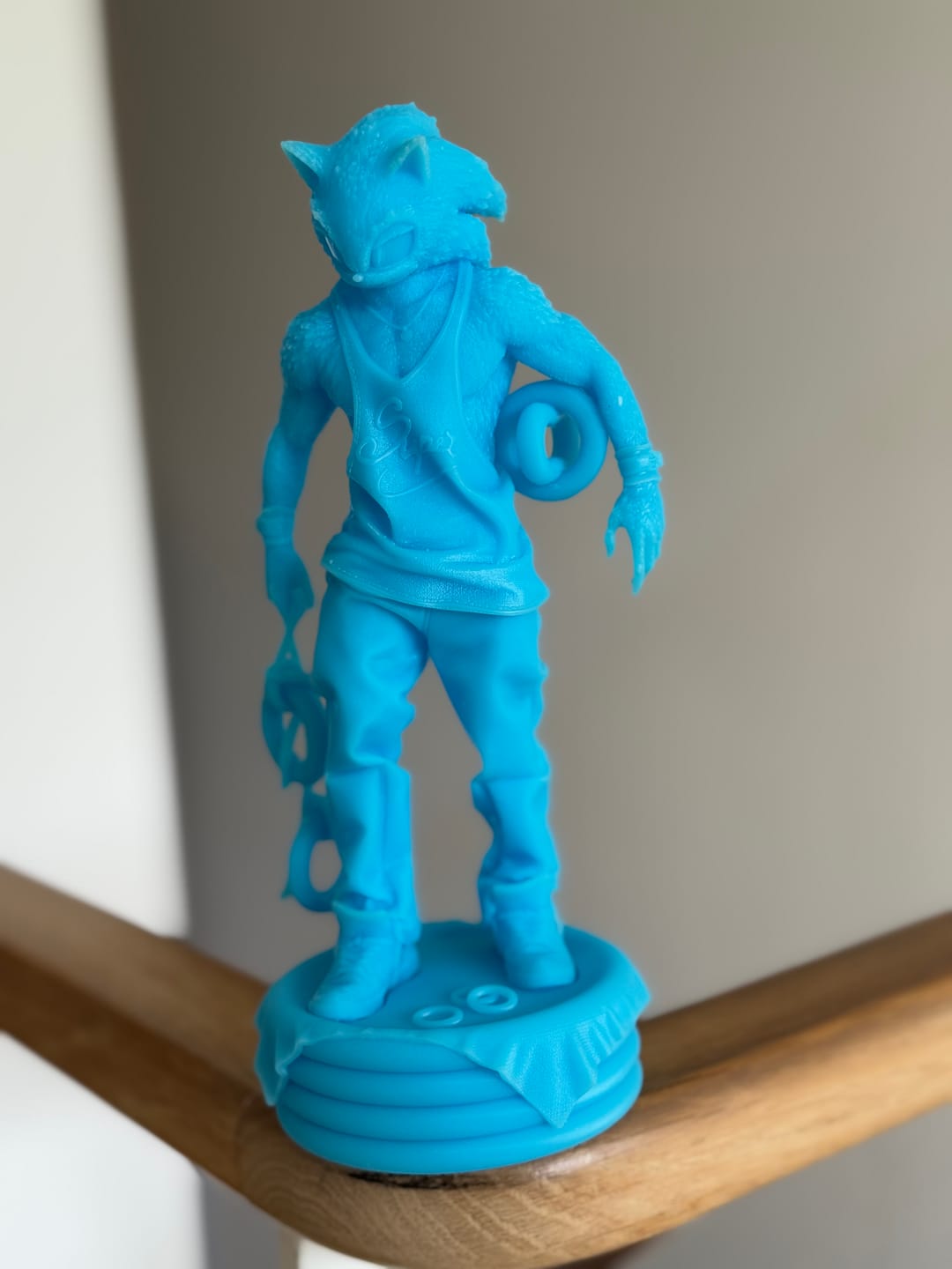 Customer photo review of Résine Standard V2
