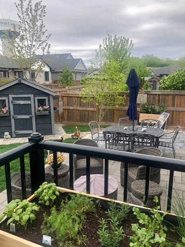 Customer photo review of 18" x 48" Raised Garden Bed - 30" TALL