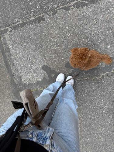Customer photo review of Staey - Elma Godbidstaske m. Hundeposeholder, Mocca