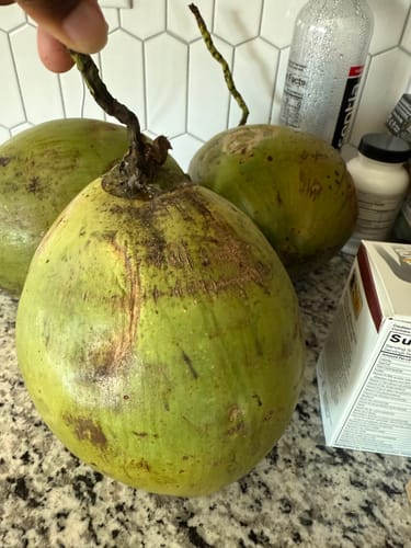 Customer photo review of Coconuts (Fresh)