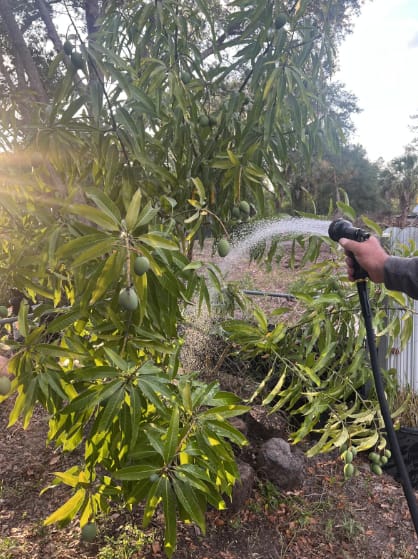 Customer photo review of GardenMate™ - Ultimate Garden Hose