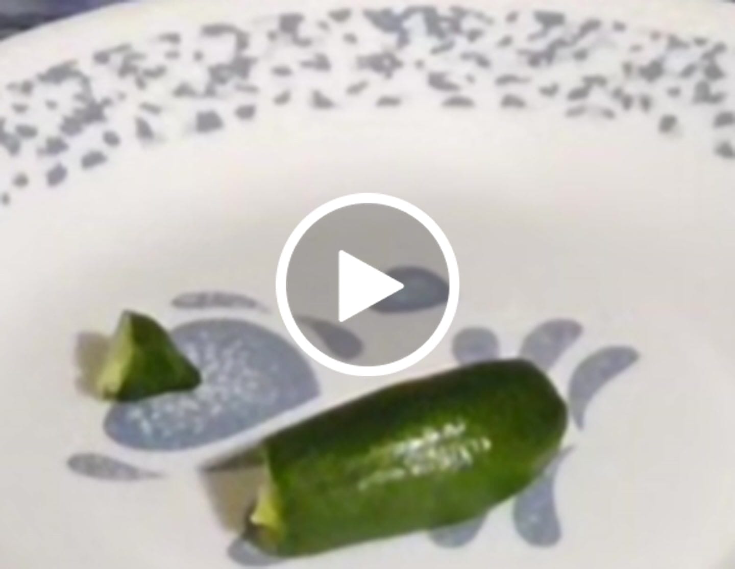 Customer video review of Caviar Lime (Finger Lime) *Pre-Order*