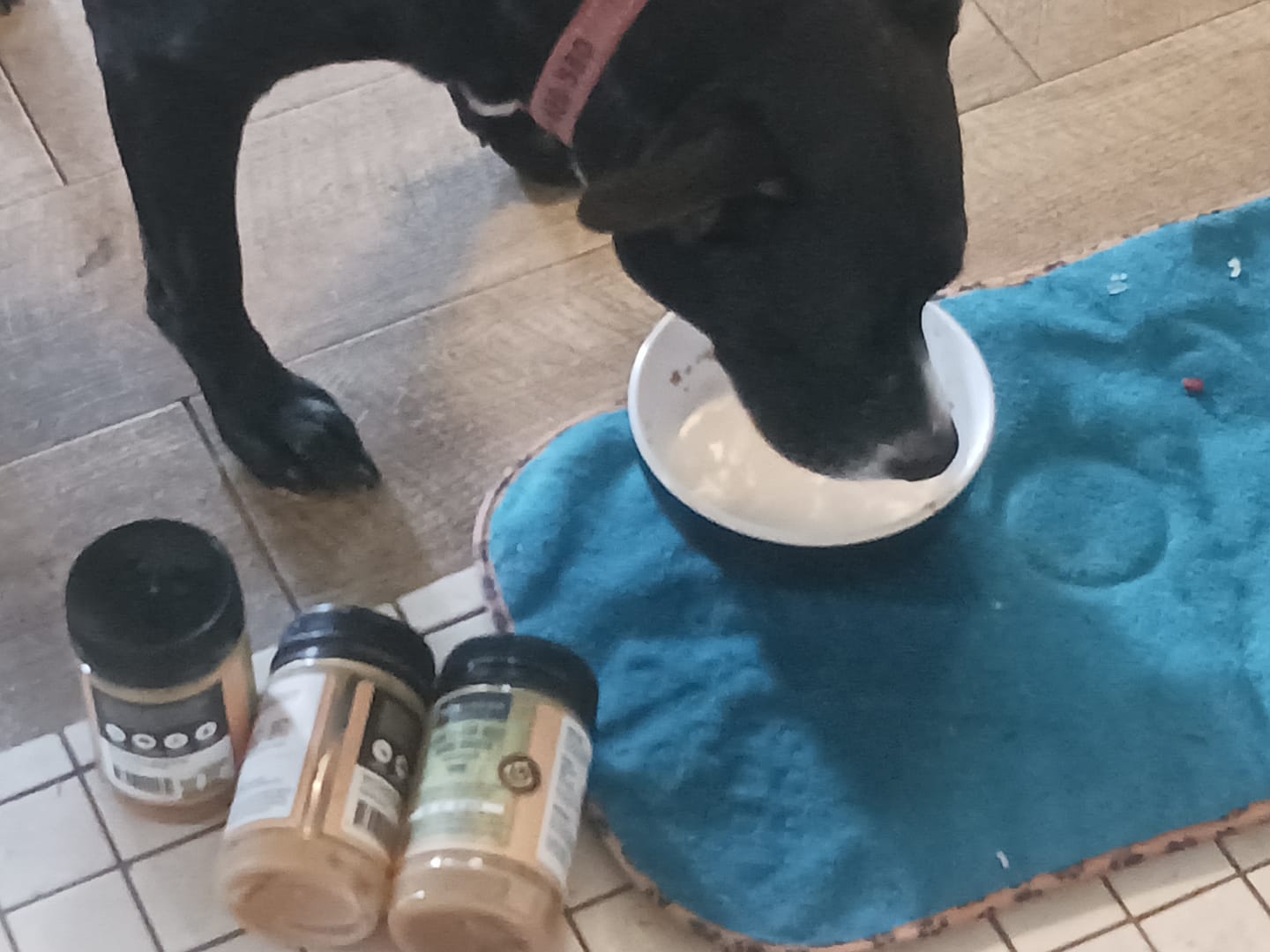 Customer photo review of Grass-Fed Beef Bone Broth Concentrate