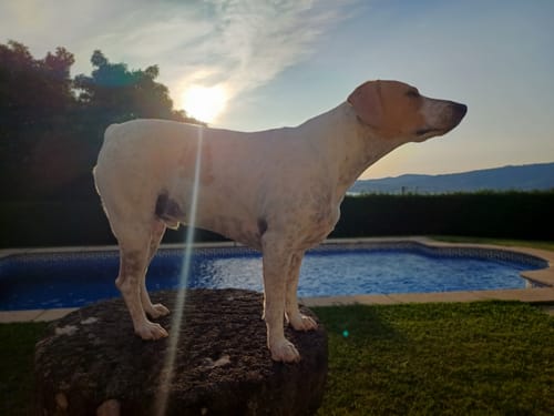 Customer photo review of Light