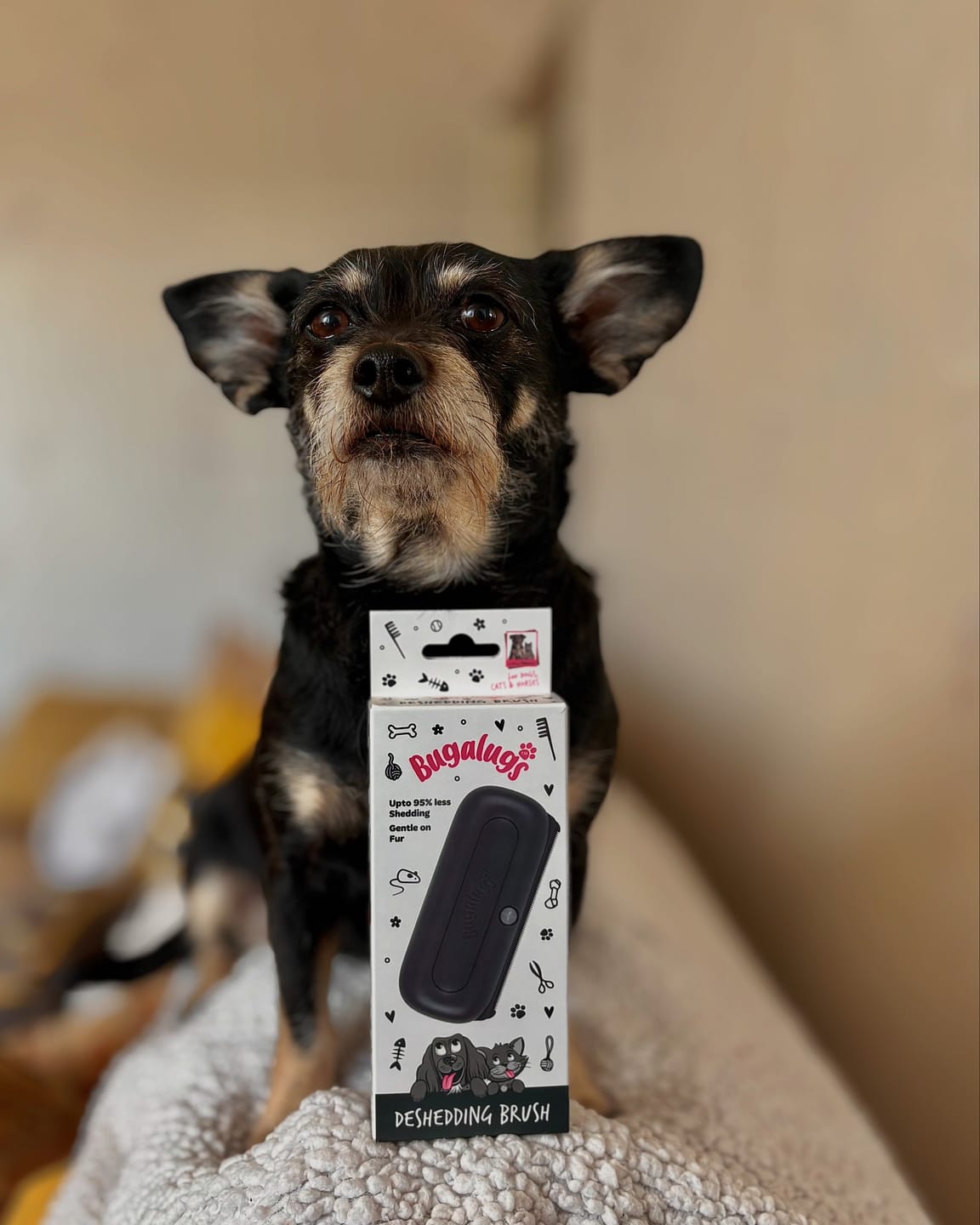 Customer photo review of Deshedding Brush (Black)