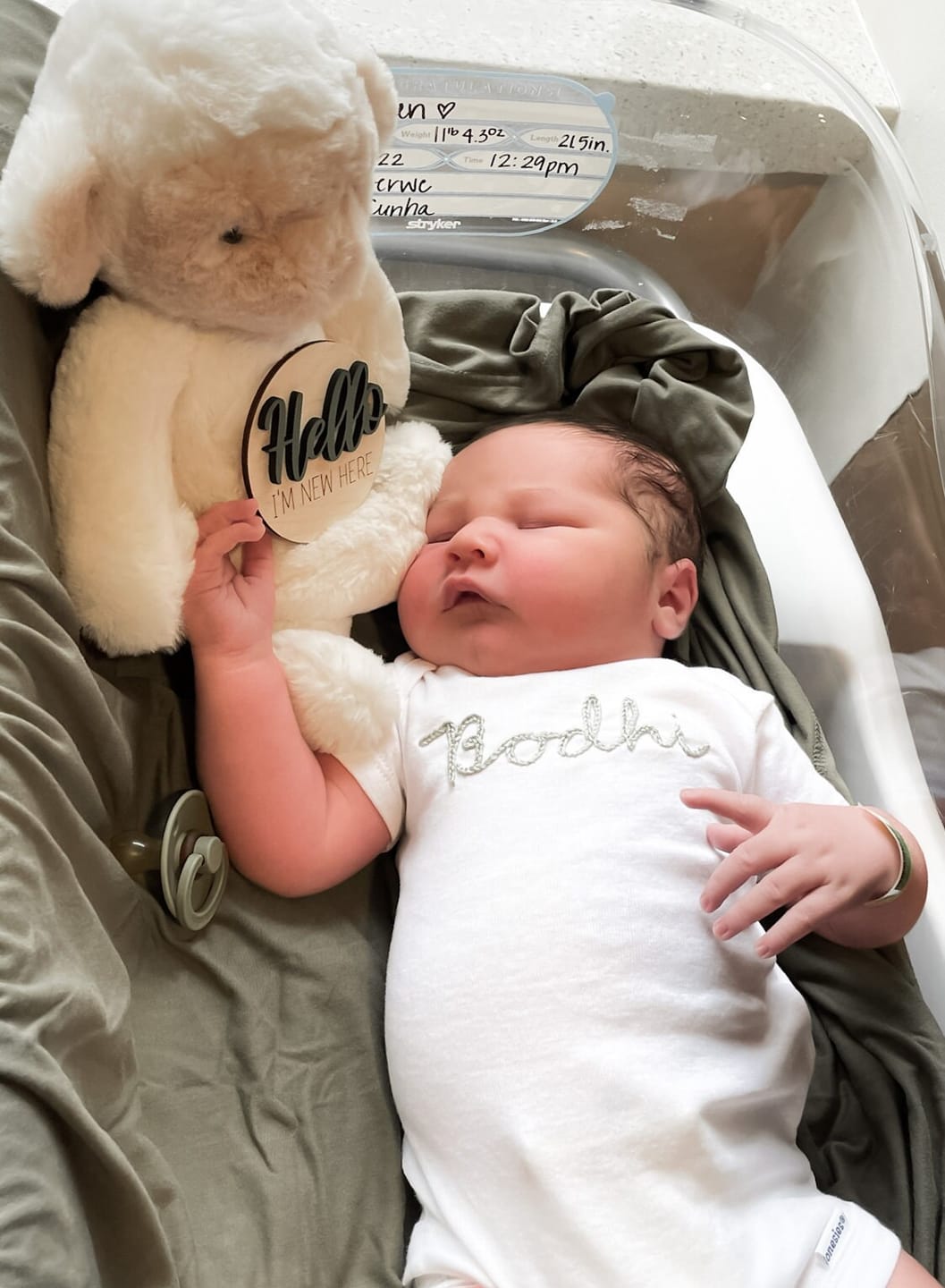 Customer photo review of Wooden Monthly Baby Milestones