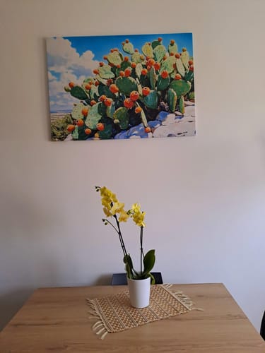 Recensione con foto di un cliente su Cactus d'Estate