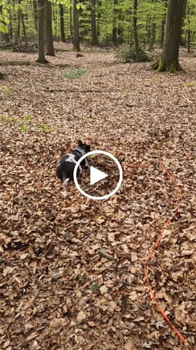 Customer video review of Easy Squeezy