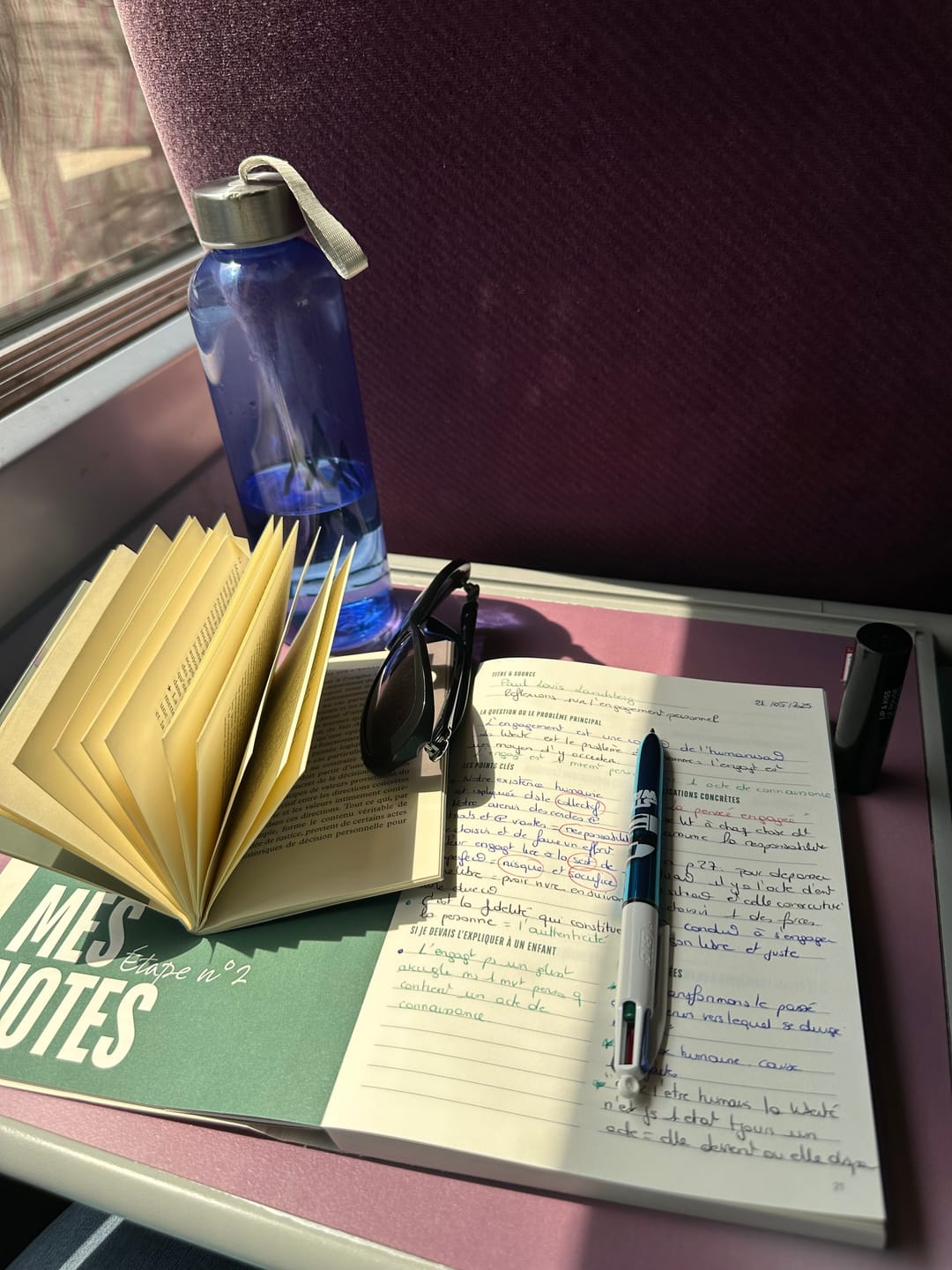 Customer photo review of Le Carnet de la Curiosité