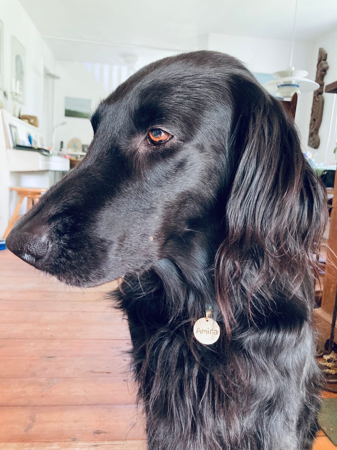 Customer photo review of Runde Hundemarke mit Gravur, Name und Telefon personalisiert