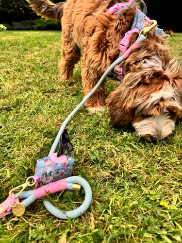 Customer photo review of Disney© 4ft Rope Lead - Mad Hatters Tea Party