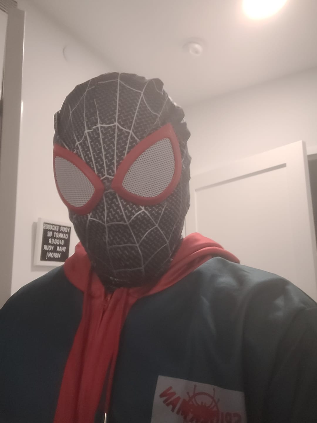 Customer photo review of Miles Morales Suit Spider Man Costume for Boys and Adult Men.
