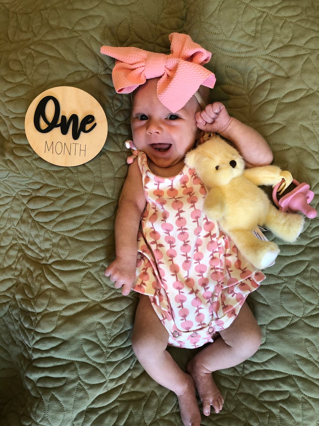 Customer photo review of Wooden Monthly Baby Milestones