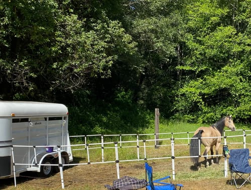 Customer photo review of Trailer Attachment