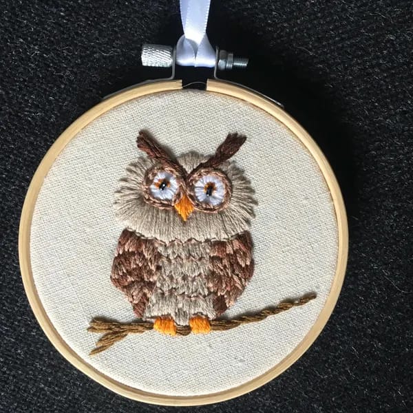 Customer photo review of Rubbyoo Embroidery Kit - Owl Forest