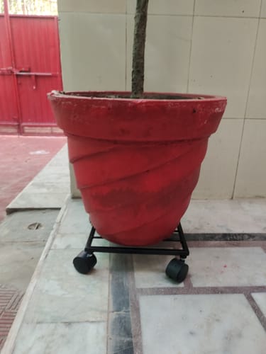Customer photo review of United Crafts Rozy Wheel Pot Stands for Planters